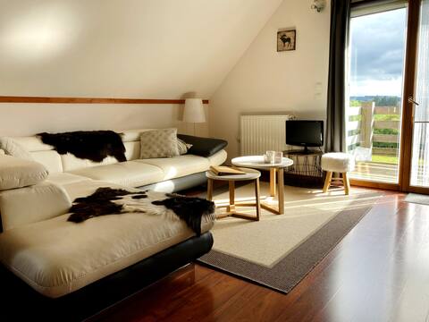 Vacation home with a view of the Sancy Massif.