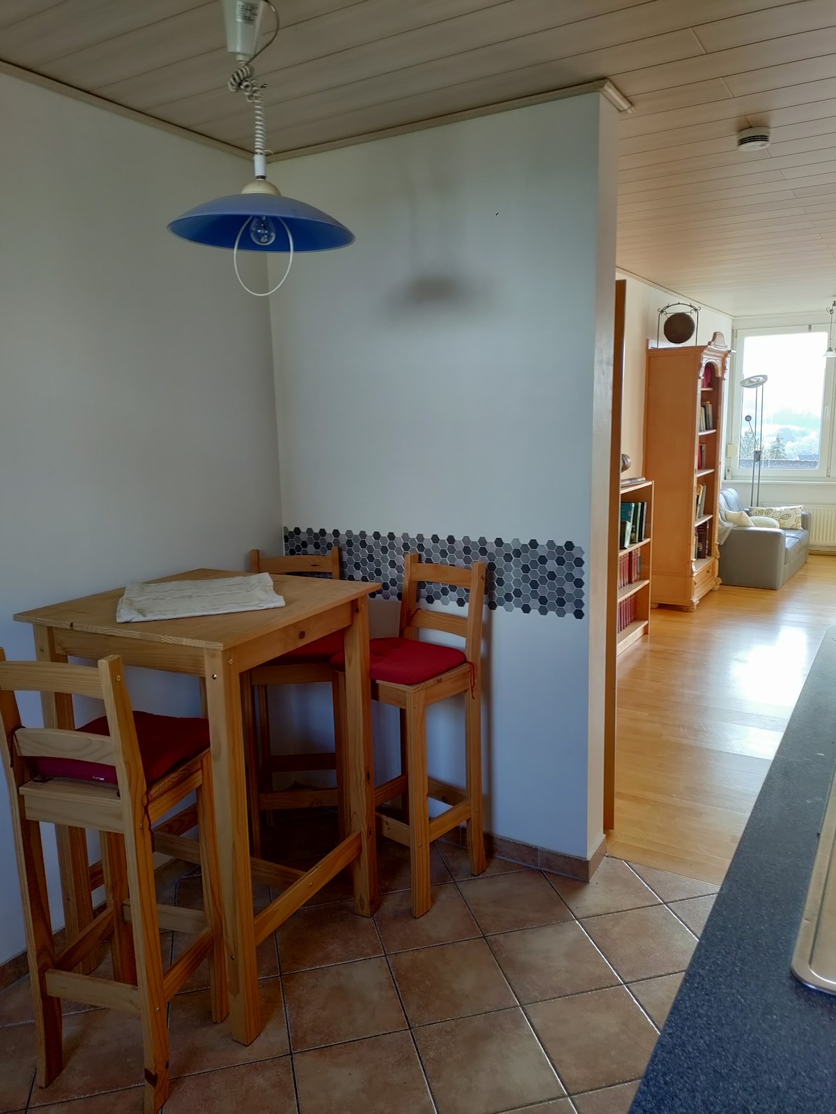Spacious, bright apartment with views of Taunus