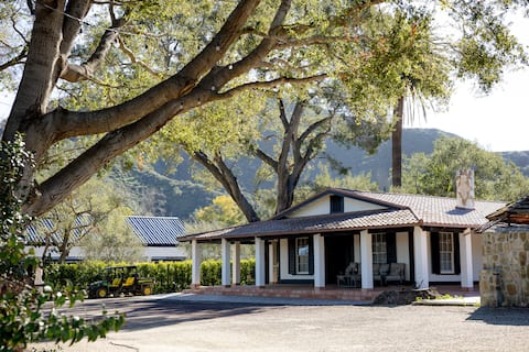 Historic Adobe 4 Beds & 3 baths w/ Vineyard Views