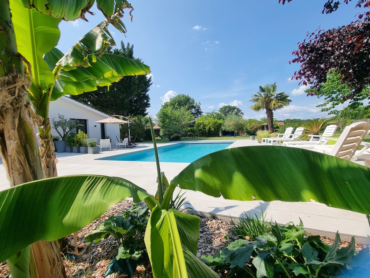 A serene outdoor area features a large swimming pool surrounded by lush greenery, including tall banana plants. Sun loungers are positioned neatly around the pool, with shaded seating available under a stylish umbrella. The clear blue sky enhances the tranquil atmosphere.