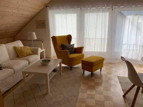 Helle 2 Rooms near Frankfurt city