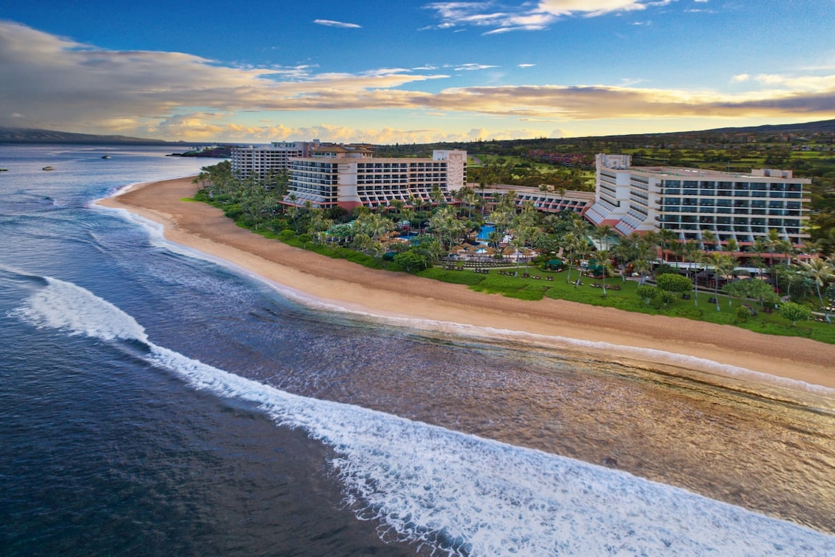 An aerial view captures the resort along a golden sandy beach, framed by gentle waves lapping at the shore. The lush landscape features palm trees and additional greenery, while the backdrop showcases the resort's multiple buildings under a partly cloudy sky.