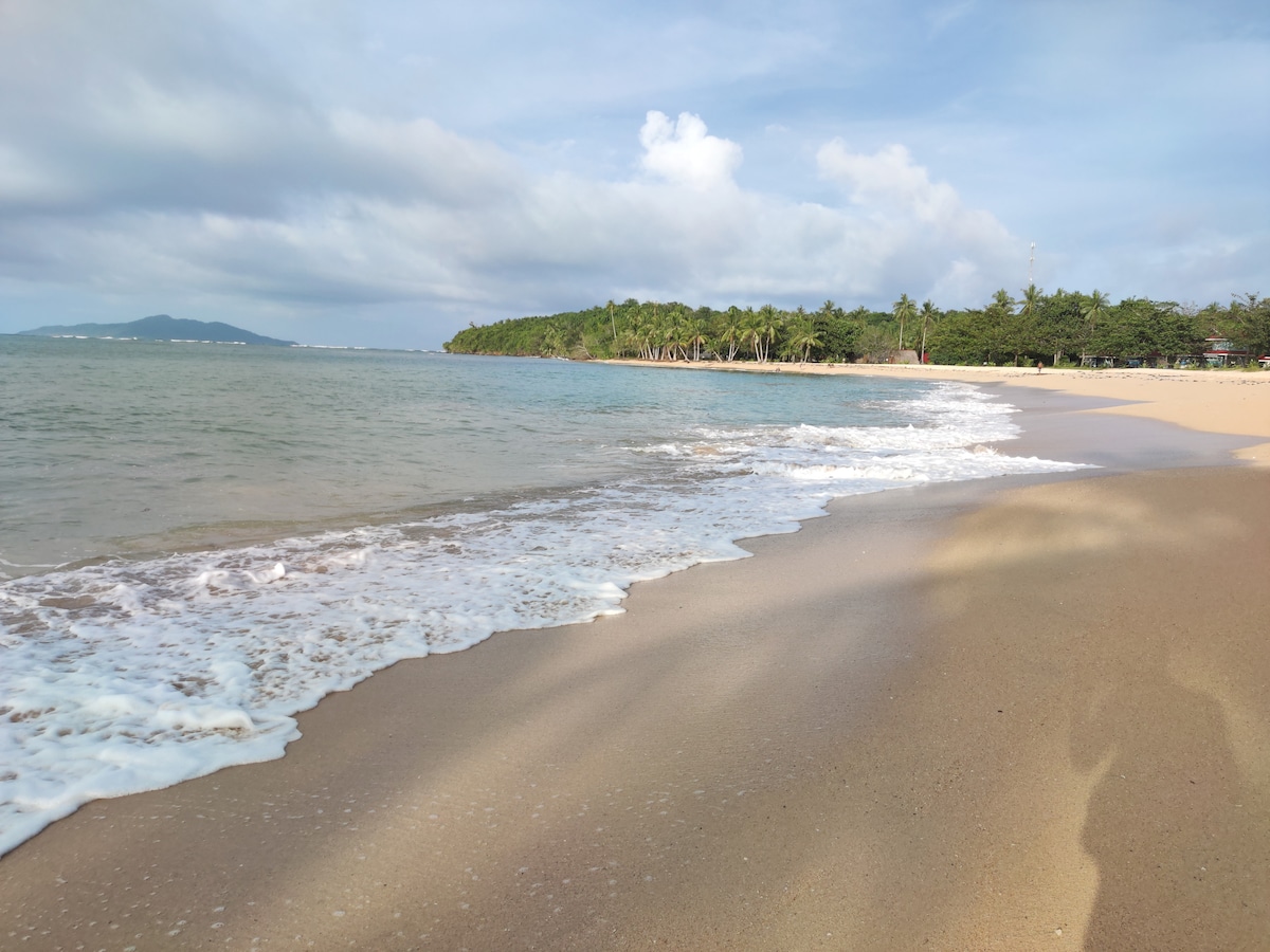 A serene beach scene showcases soft waves gently lapping against a golden sandy shore. Lush greenery lines the back of the beach, blending with a clear blue sky and scattered white clouds. The tranquil environment invites relaxation and connection with nature.