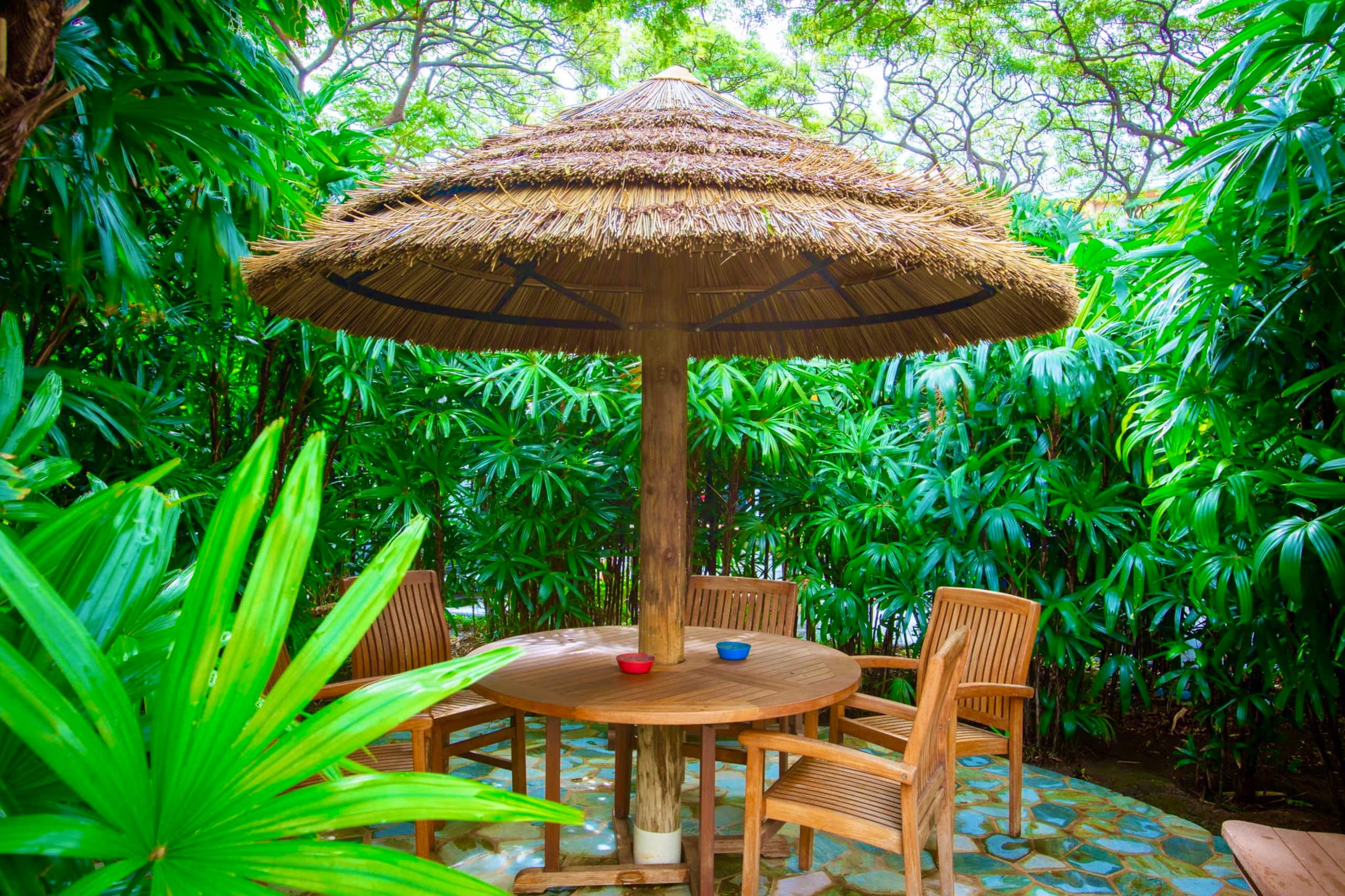 Condo in Lahaina · ★4.98 · 1 bedroom · 2 beds · 1 bath - Image 24