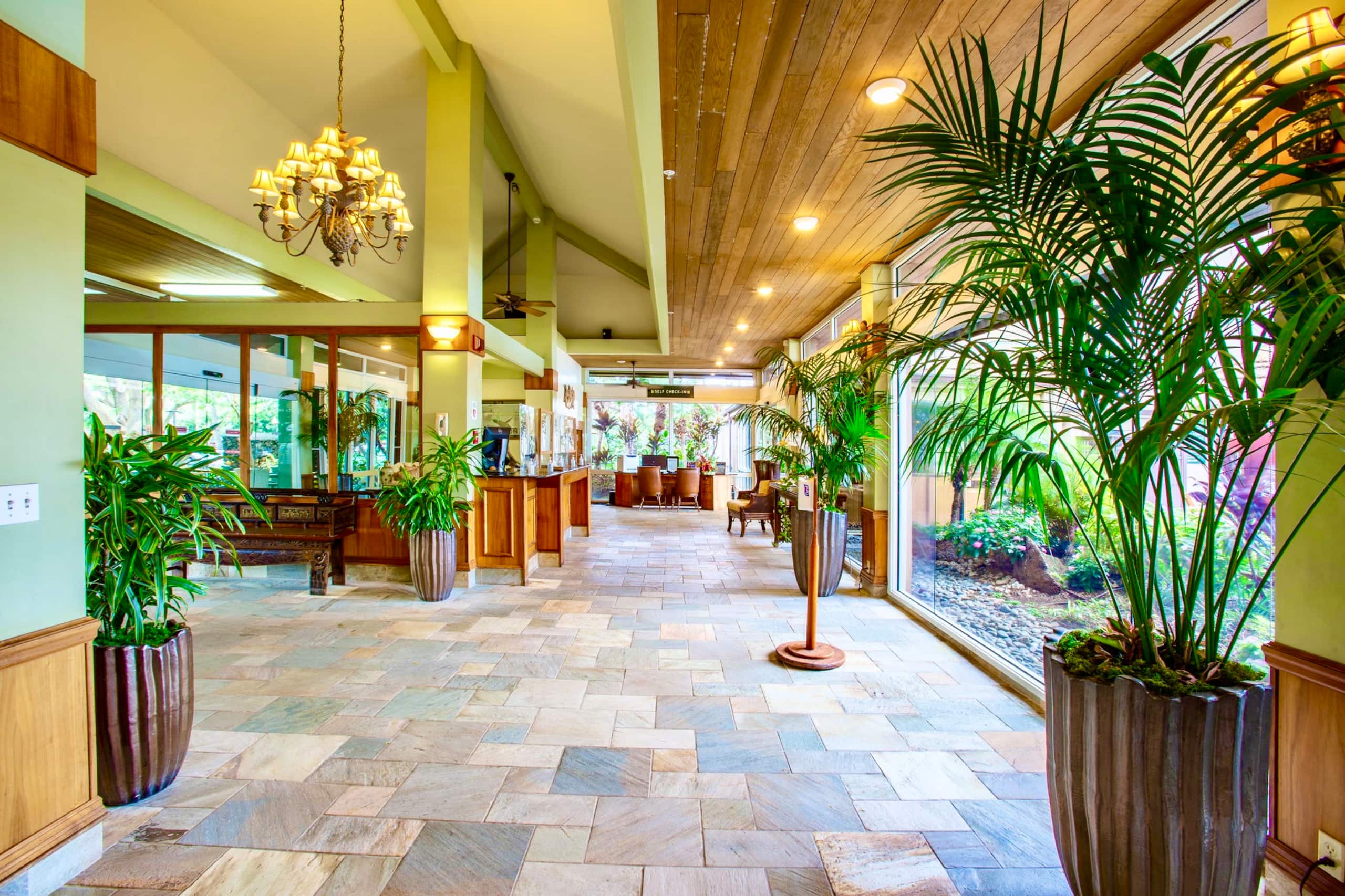 Condo in Lahaina · ★4.98 · 1 bedroom · 2 beds · 1 bath - Image 22