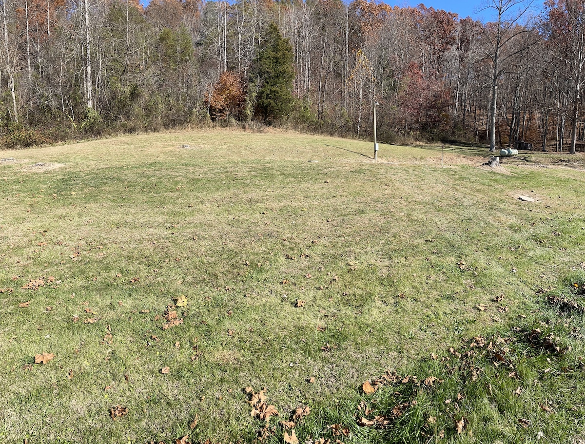 A clear, grassy campsite is presented, surrounded by trees displaying autumn foliage. The open area features a few scattered leaves on the ground, with a utility pole visible in the background, indicating full hook-up availability for campers.