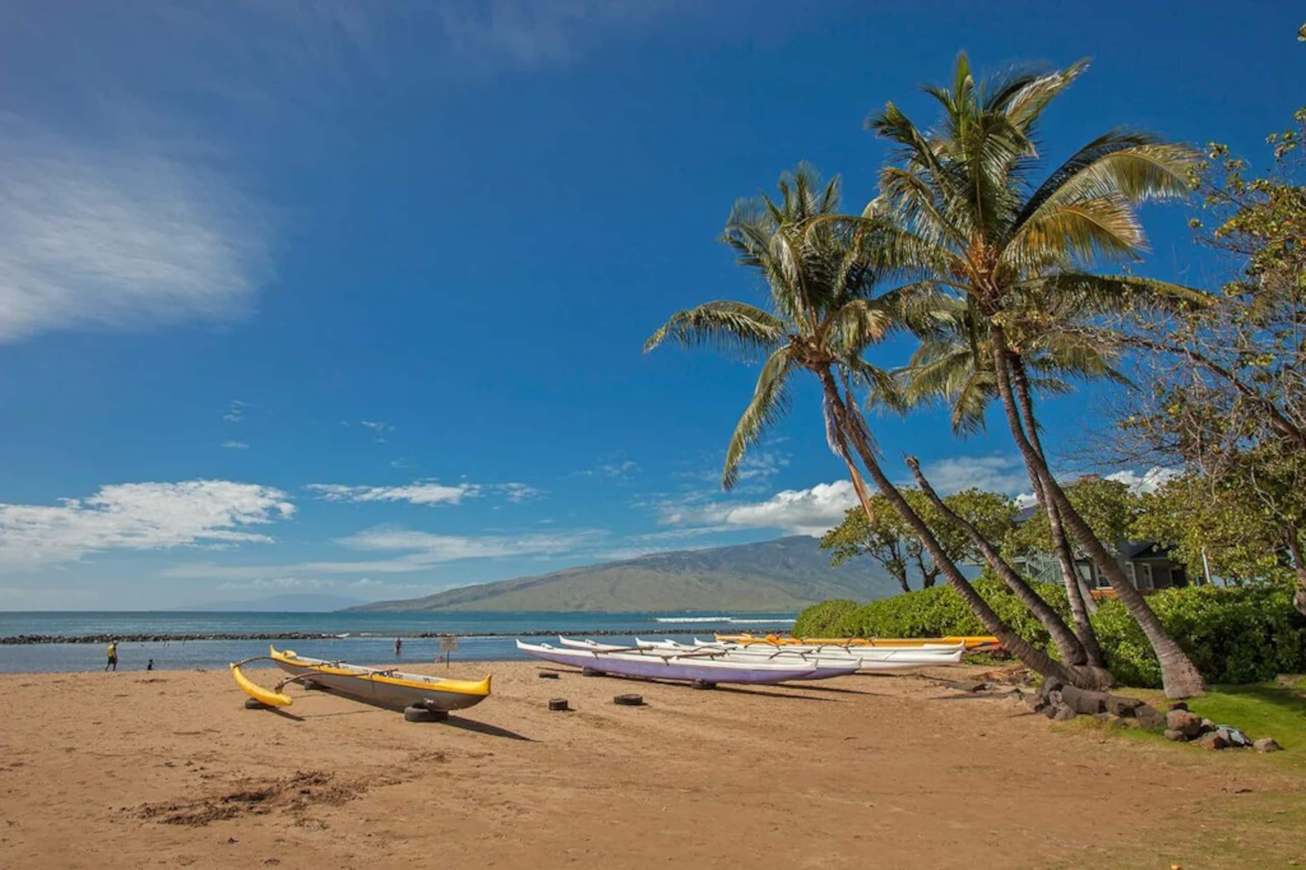 Condo in Kihei · ★4.96 · 1 bedroom · 2 beds · 1 bath - Image 70