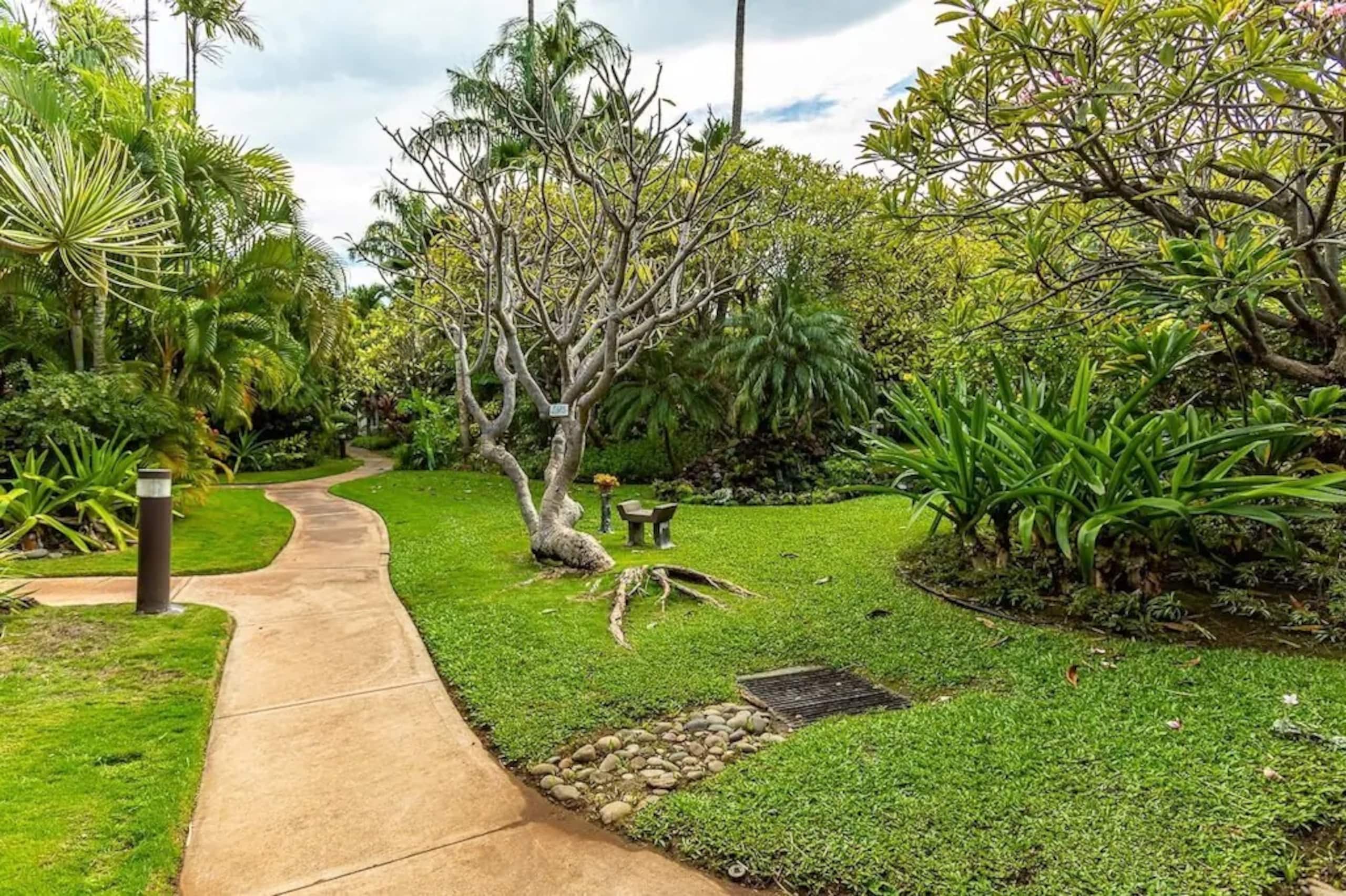 Condo in Kihei · ★4.96 · 1 bedroom · 2 beds · 1 bath - Image 41