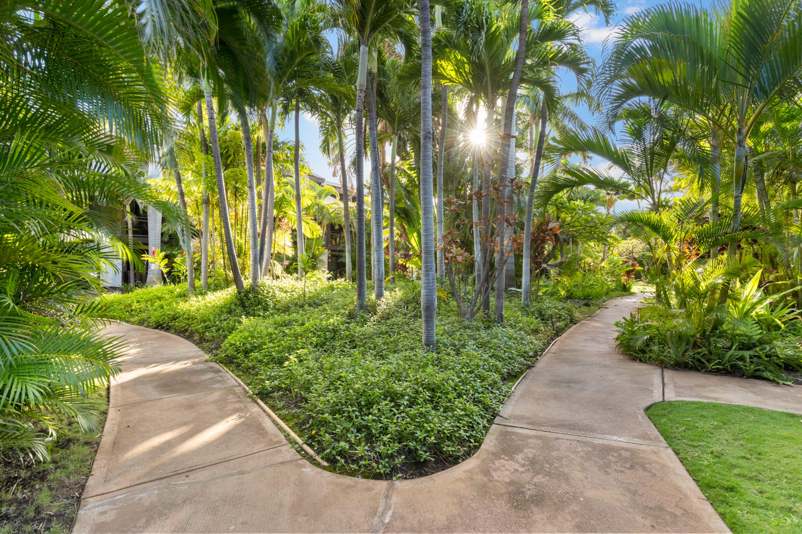 Condo in Kihei · ★4.96 · 1 bedroom · 2 beds · 1 bath - Image 44