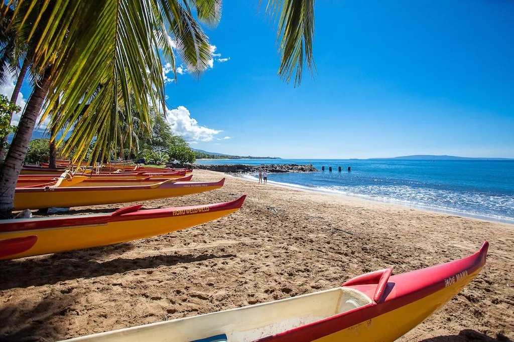 A sandy beach is lined with colorful outrigger canoes resting on the shore. Palm trees gently sway in the foreground, framing the clear blue sky and calm ocean waves. Visitors can be seen walking in the distance along the water's edge.