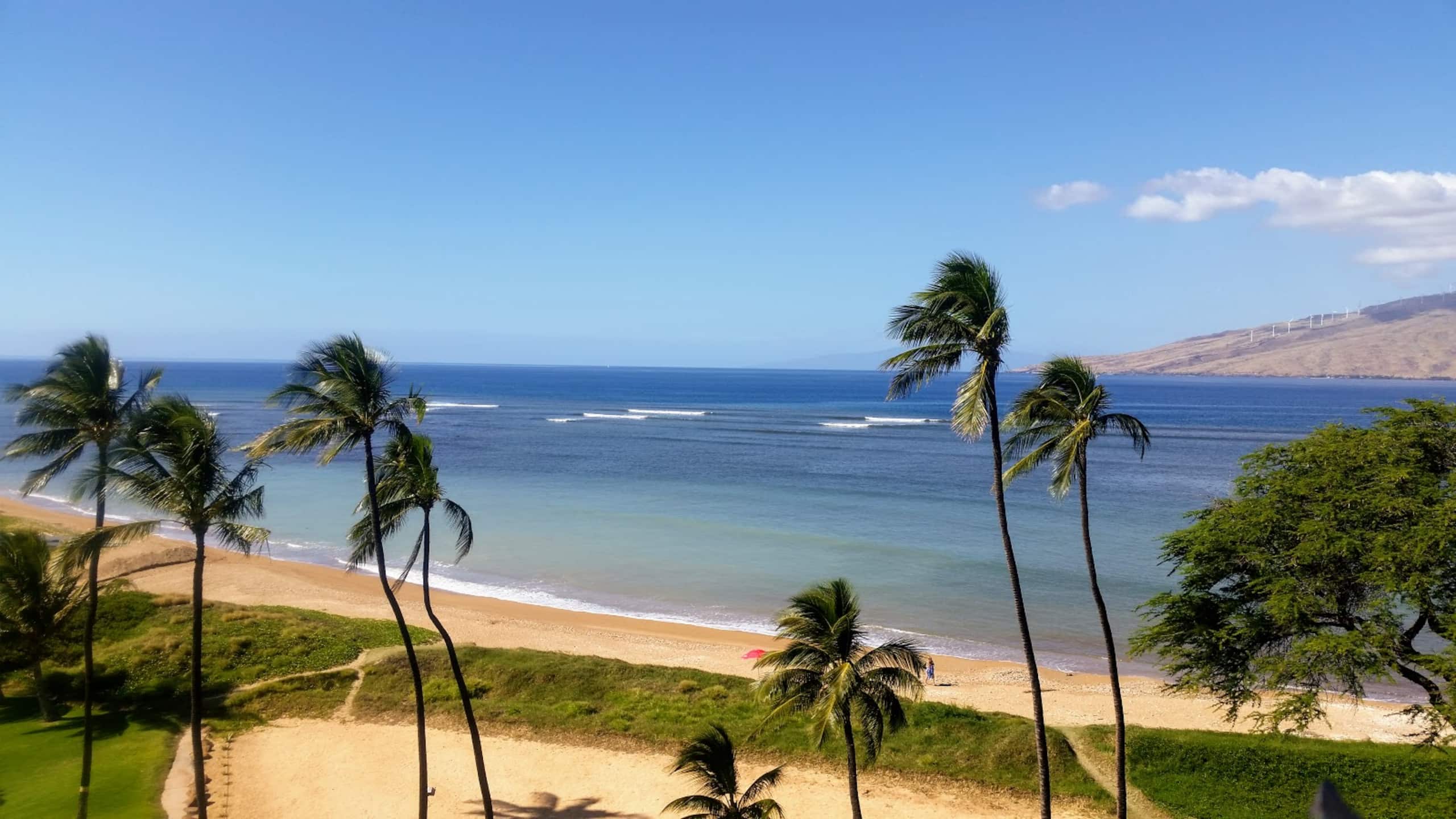 Condo in Kihei · ★4.96 · 1 bedroom · 2 beds · 1 bath - Image 67