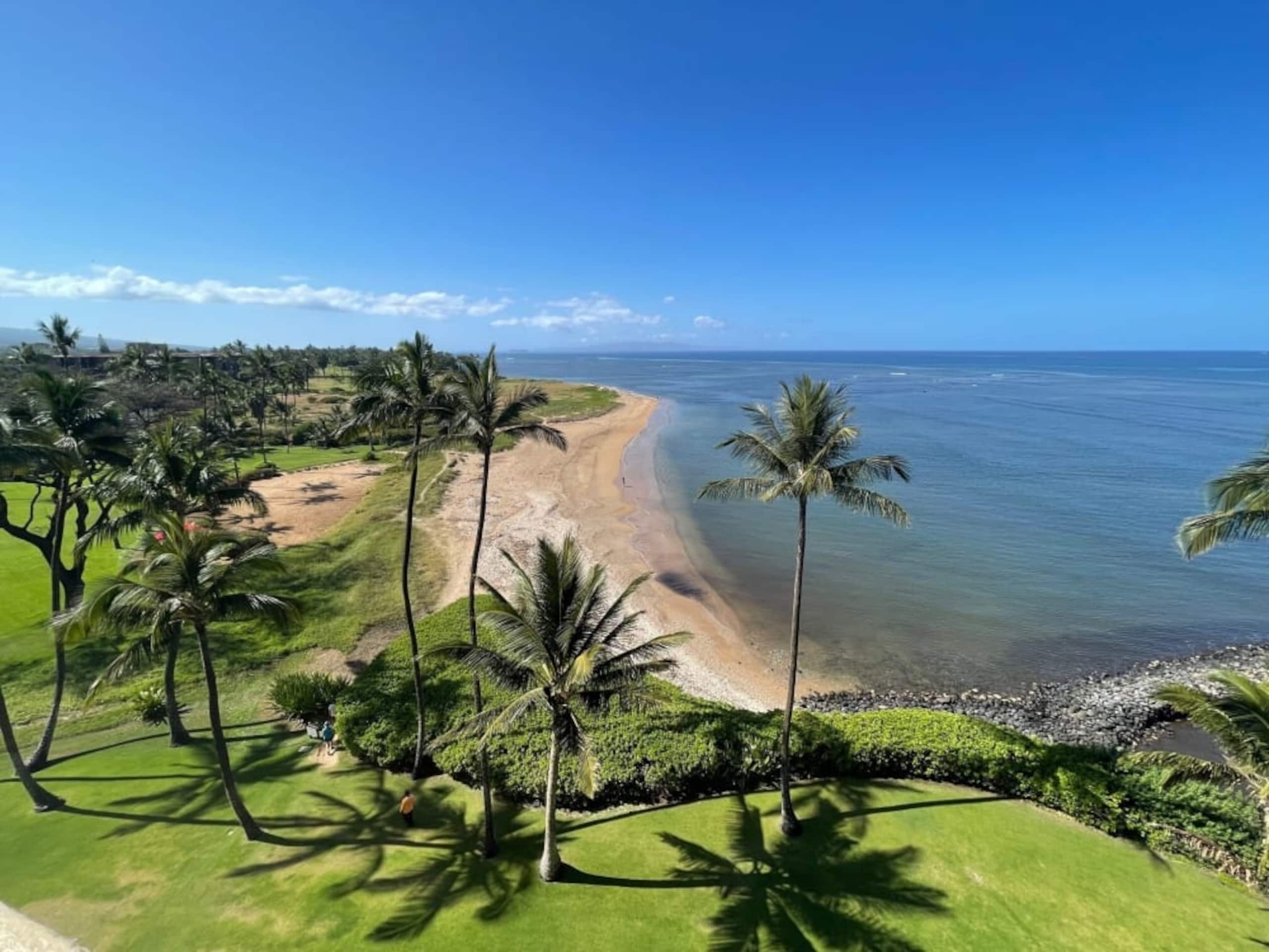 Condo in Kihei · ★4.96 · 1 bedroom · 2 beds · 1 bath - Image 68
