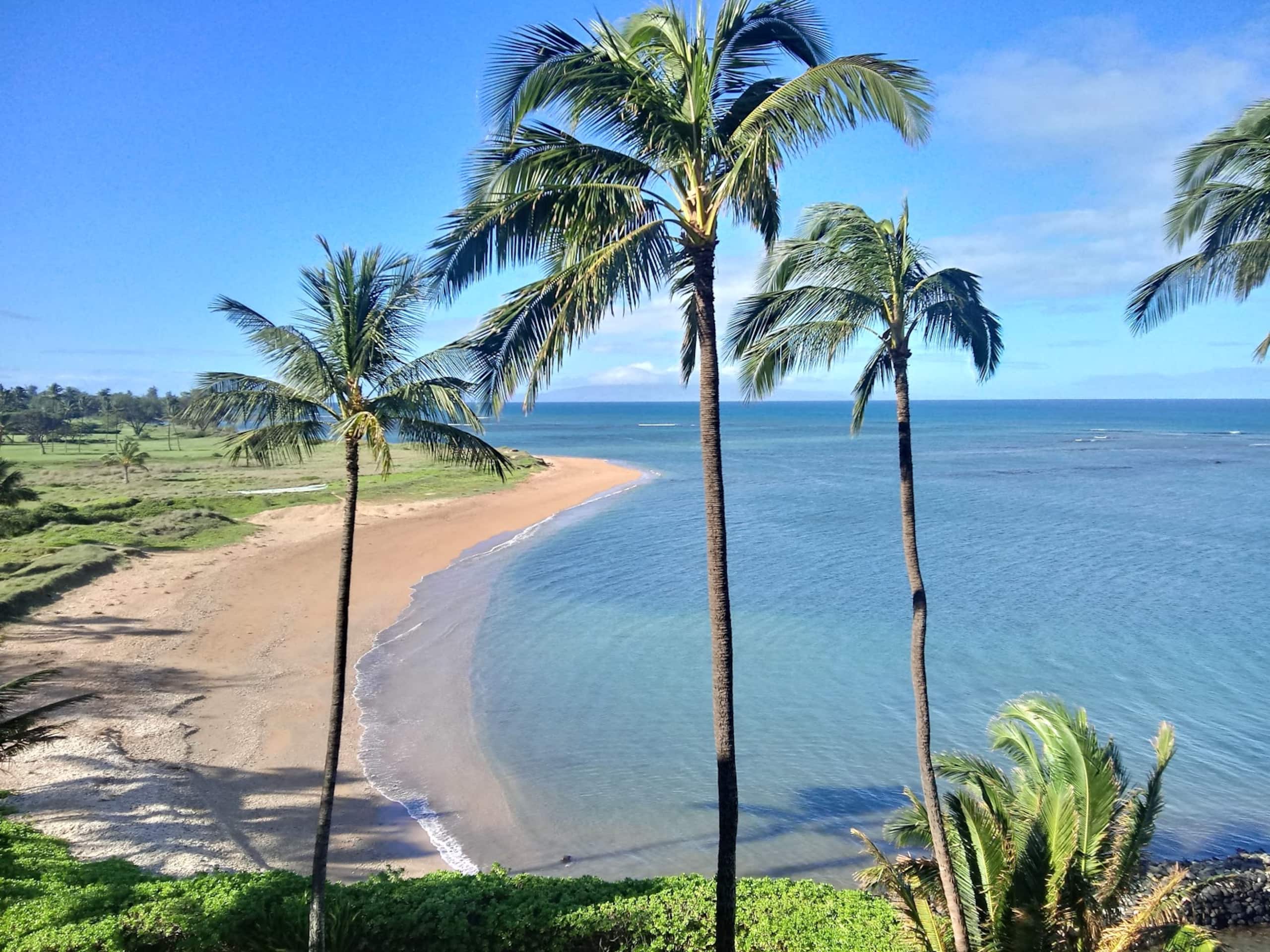 Condo in Kihei · ★4.96 · 1 bedroom · 2 beds · 1 bath - Image 46