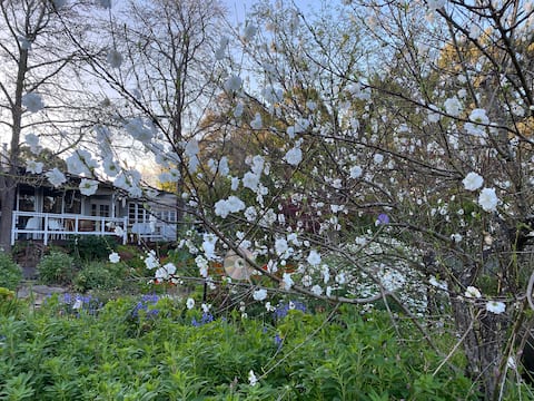 Maslin St Farmhouse
