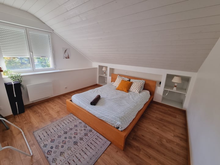 Habitación 1