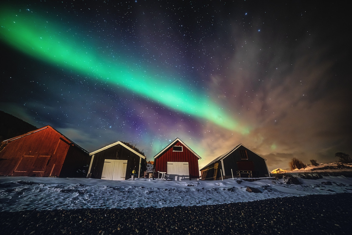 A scene captures the northern lights illuminating the night sky above several rustic buildings. The vibrant green hues of the aurora contrast against a backdrop of stars, creating a serene ambiance over the snow-covered landscape.