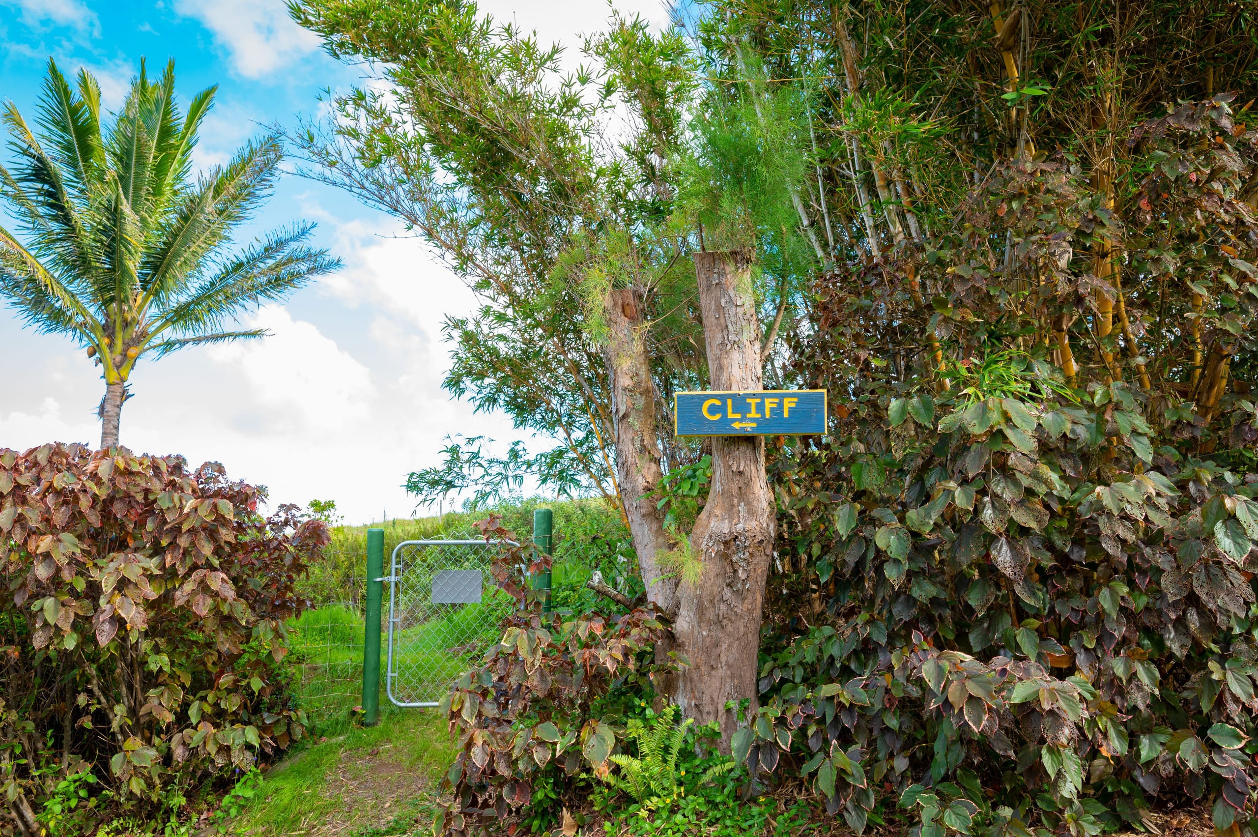 Home in Maui County · ★4.97 · 1 bedroom · 2 beds · 1 bath - Photo 31