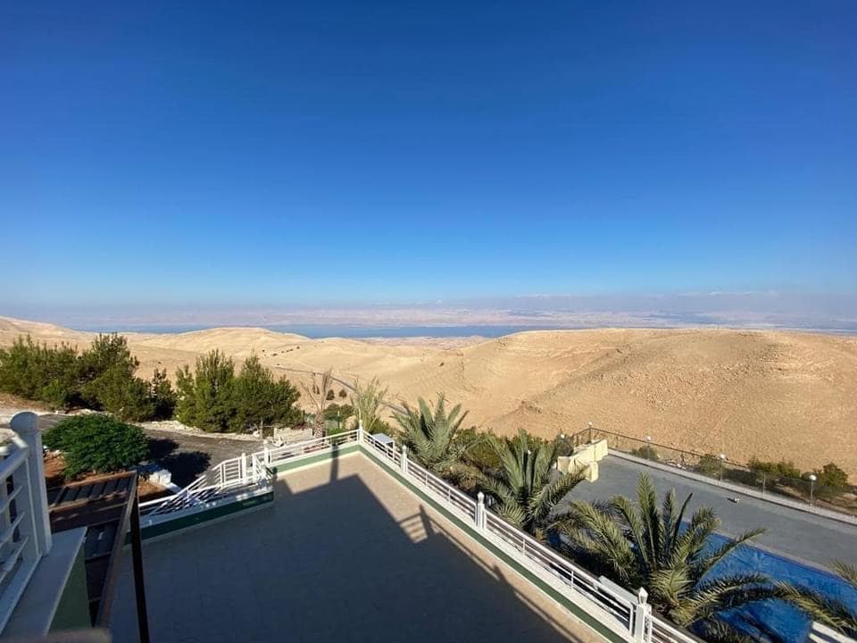 A panoramic view captures the expansive landscape of rolling hills and valleys under a clear blue sky. Lush palm trees frame the foreground, while distant mountains are visible, suggesting a serene and natural setting.