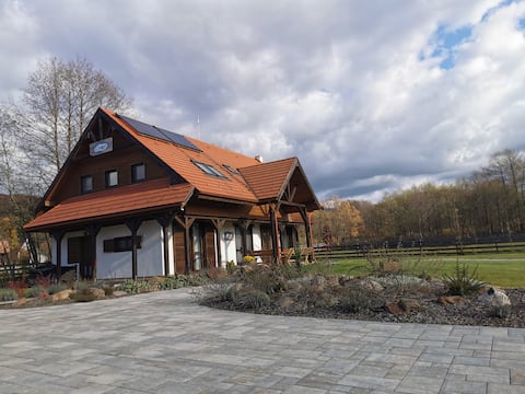 Guest house at the mountains of Hargita Madaras
