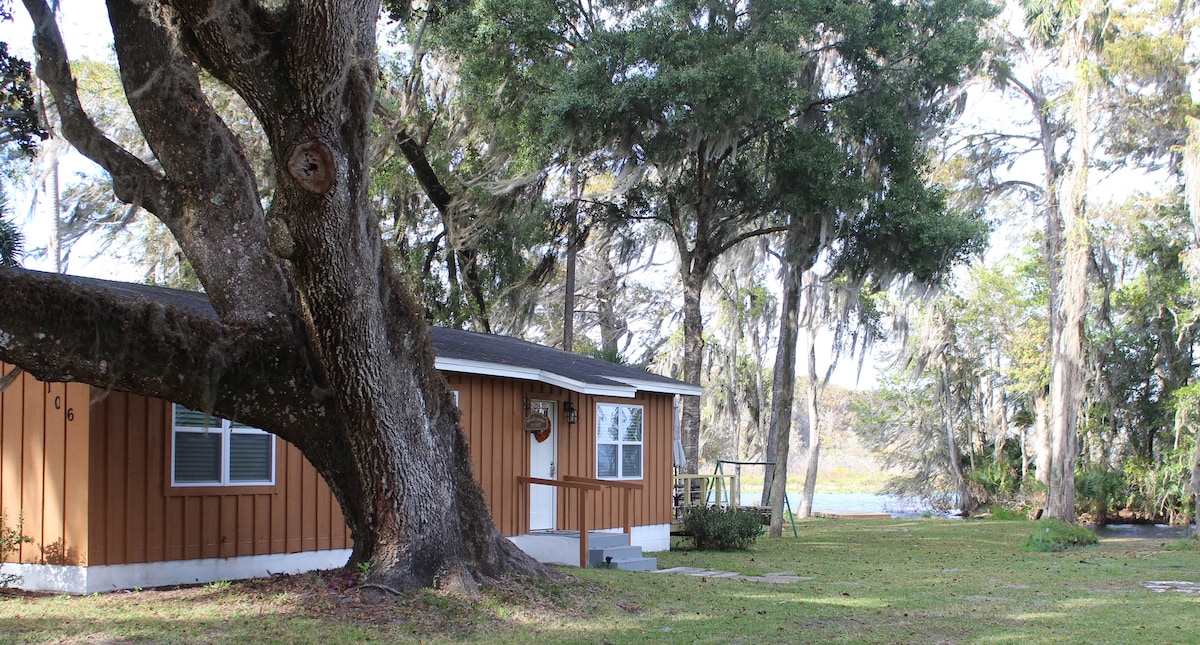 A charming orange and white cottage is positioned under a large tree, with a grassy area extending around it. The cottage features multiple windows and a porch, while a serene body of water is visible in the background among the trees.