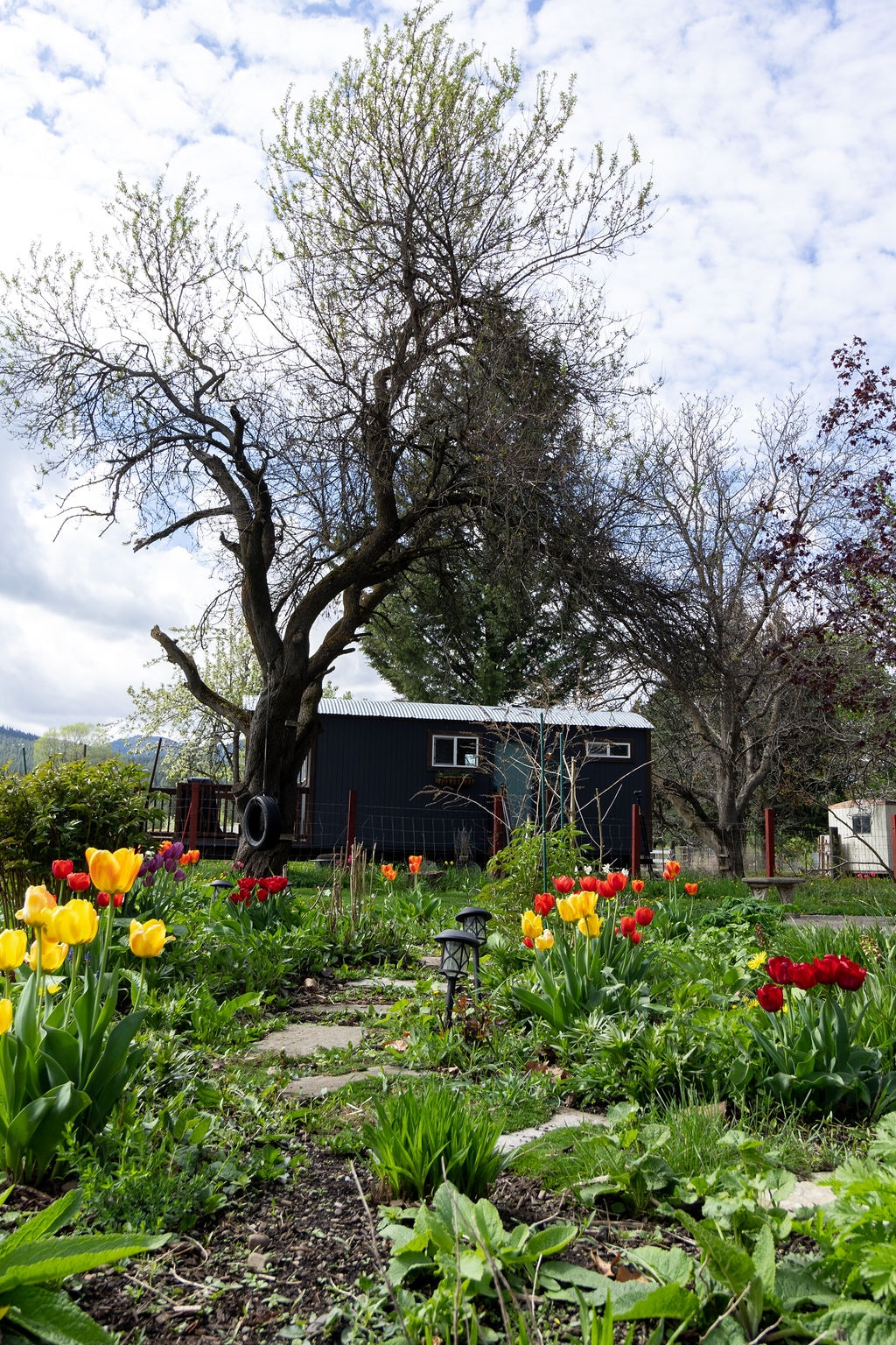A colorful array of tulips in red and yellow blooms is displayed in the foreground, surrounding a stone path. In the background, a dark structure with windows is set against a sky with soft, white clouds and a large tree, adding a natural element to the peaceful scene.