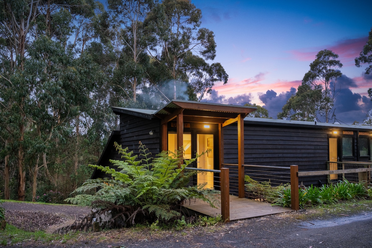 A modern black wooden cottage is illuminated at dusk, with warm light glowing from the entrance. Surrounding ferns and native greenery frame the welcoming pathway, leading to a covered porch. A serene forest backdrop enhances the tranquil ambiance of the setting.