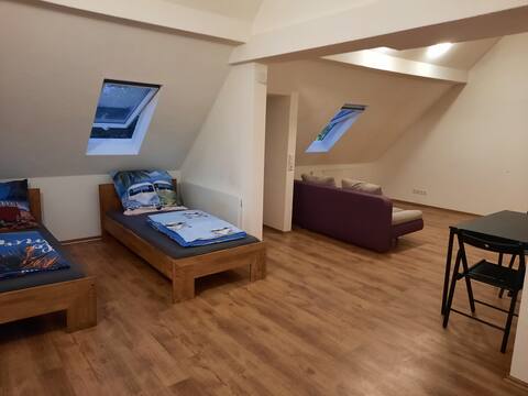Cozy roof suite in the heart of Heilbronn