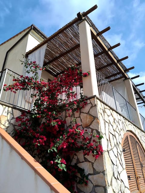 "The house next door" townhouse