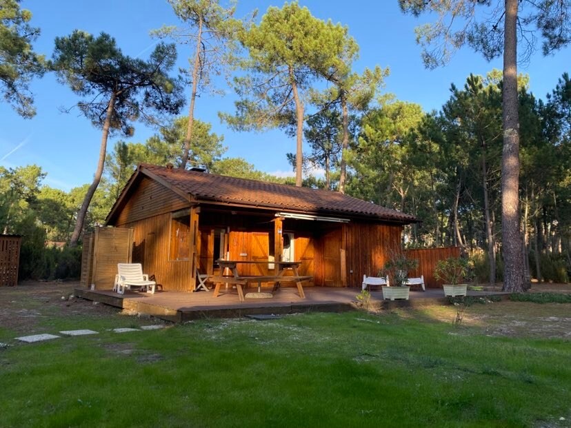 A wooden chalet is surrounded by tall pine trees, featuring a spacious deck with a dining table and several lounge chairs. The grass area is well-maintained, inviting relaxation. Natural light brightens the exterior, highlighting the inviting timber finish of the structure.