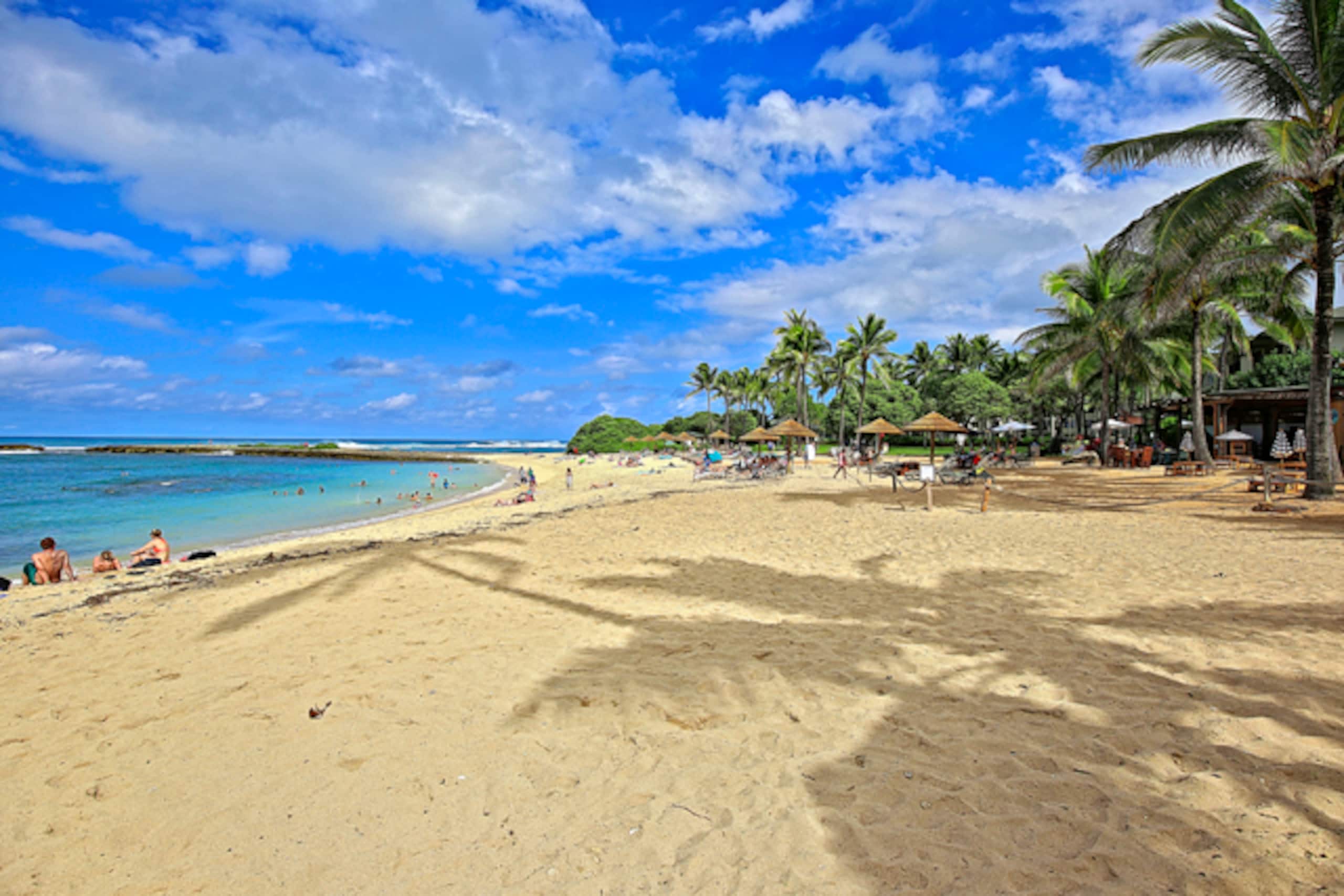 Condo in Kahuku · ★4.79 · 1 bedroom · 1 bed · 1 private bath - Image 44