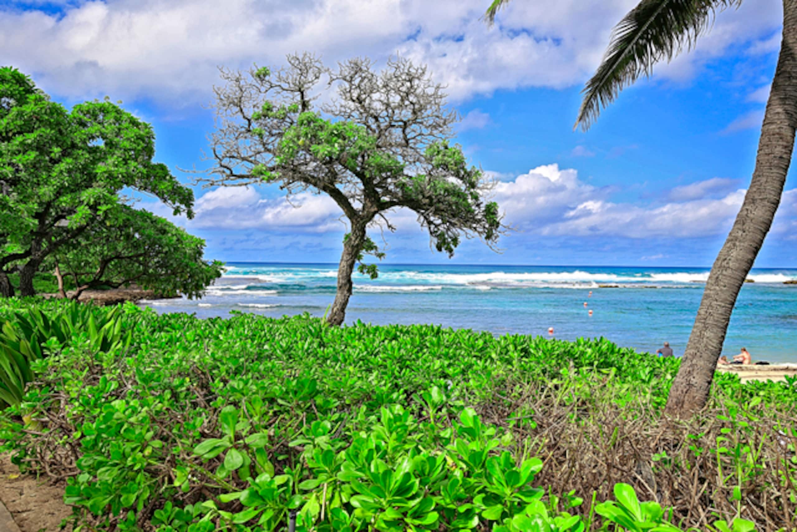 Condo in Kahuku · ★4.79 · 1 bedroom · 1 bed · 1 private bath - Image 45