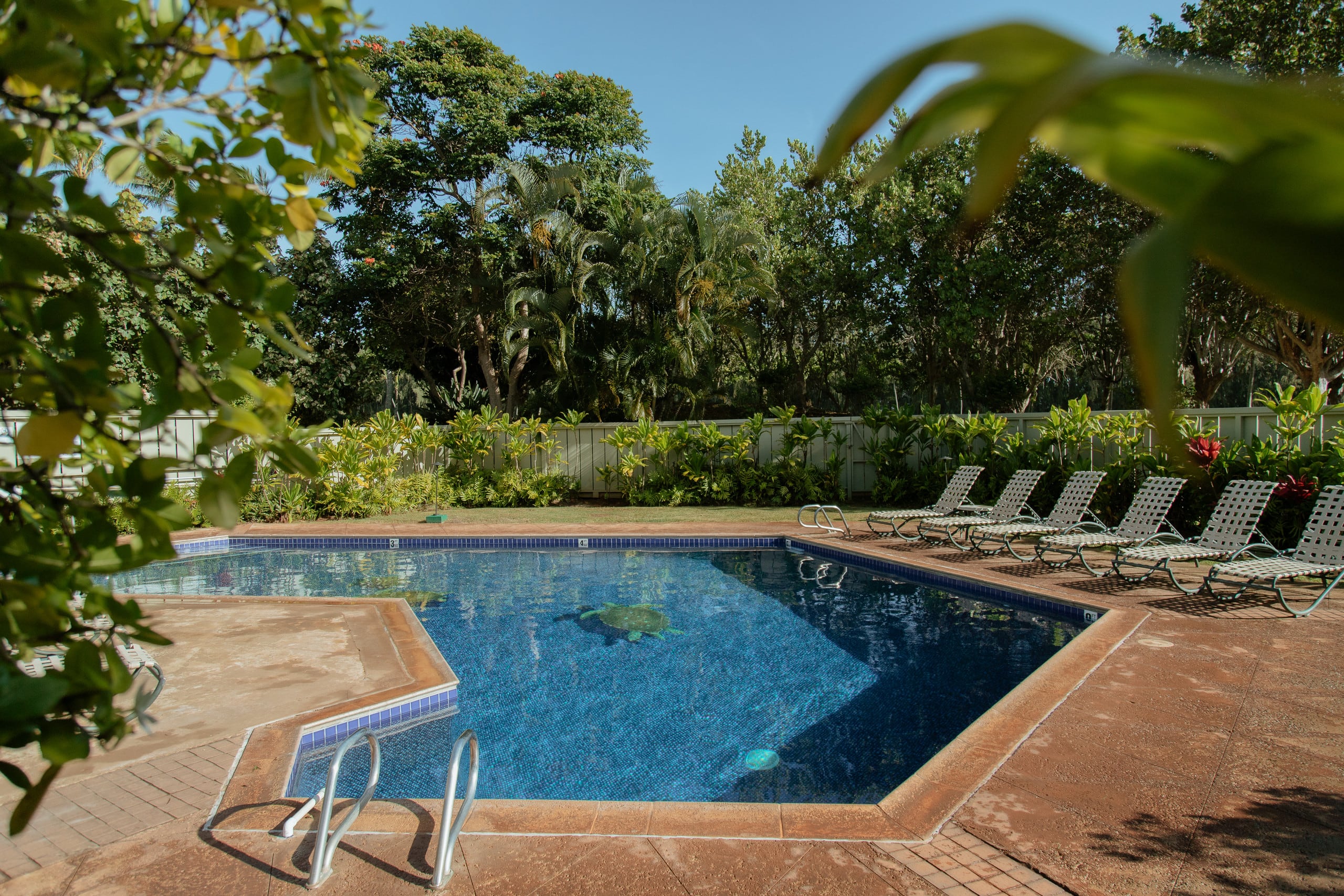 Condo in Kahuku · ★4.79 · 1 bedroom · 1 bed · 1 private bath - Image 39
