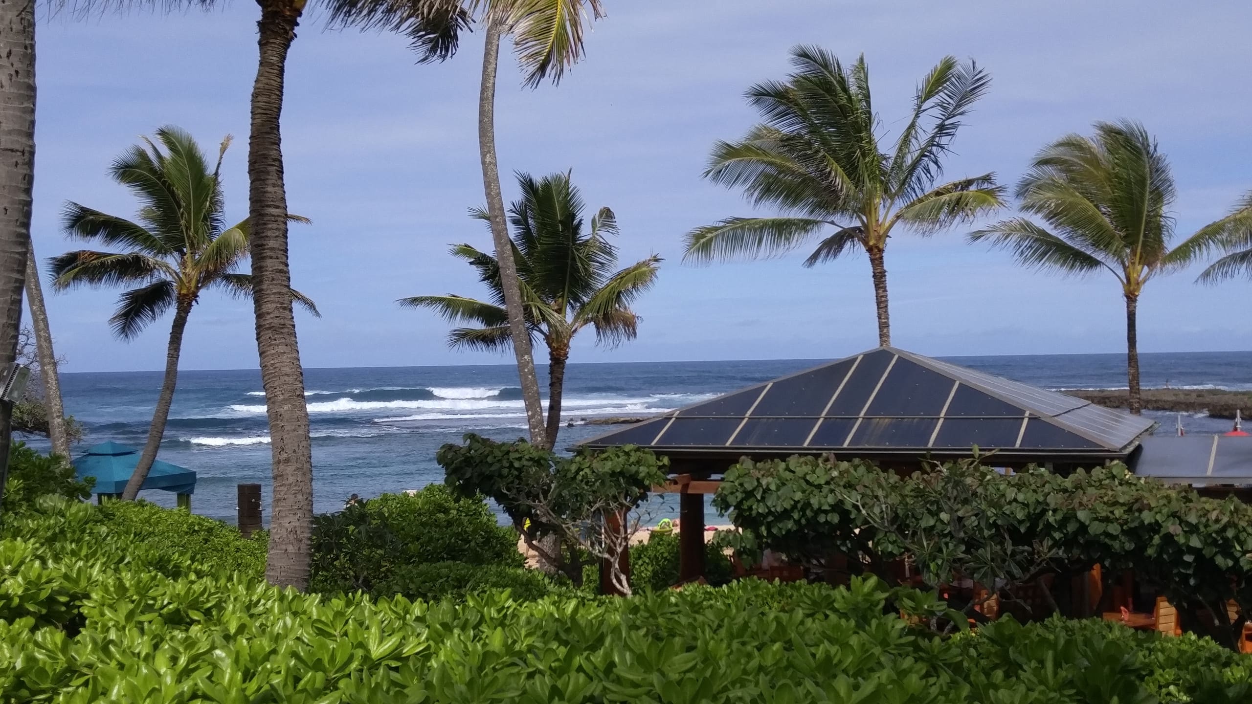 Condo in Kahuku · ★4.79 · 1 bedroom · 1 bed · 1 private bath - Image 46