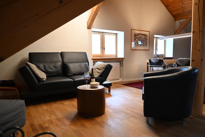Heimelige Und Ruhige Dachwohnung - Parpan