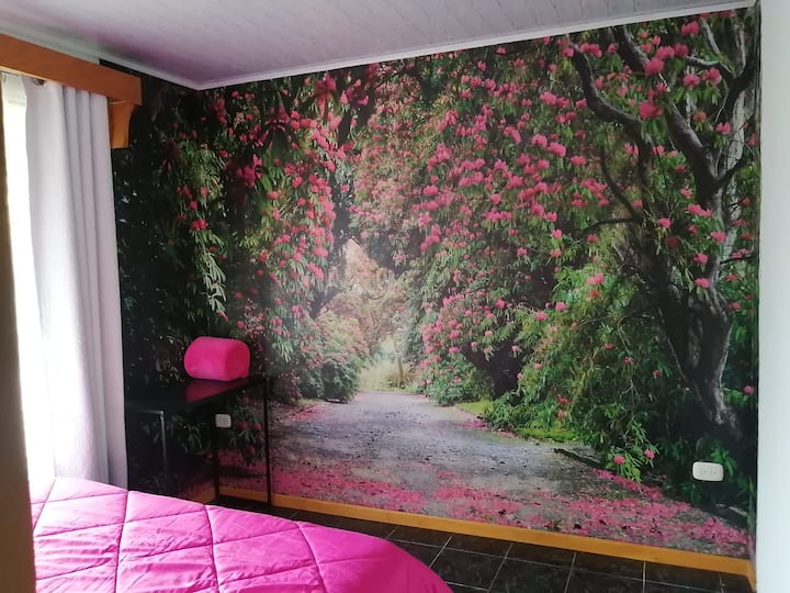 Habitación 1