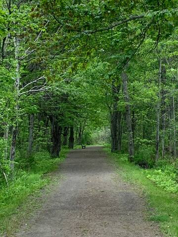 Cozy Cape Cod, seaside cottage for your getaway. gallery image 5