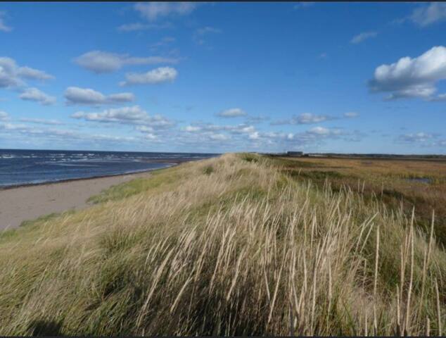 Cozy Cape Cod, seaside cottage for your getaway. gallery image 4