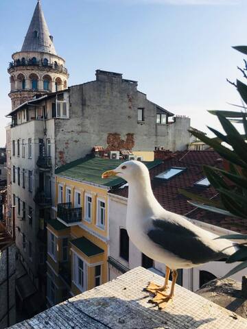 6Bedrooms-Private Terrace-In Front of Galata Tower gallery image 5
