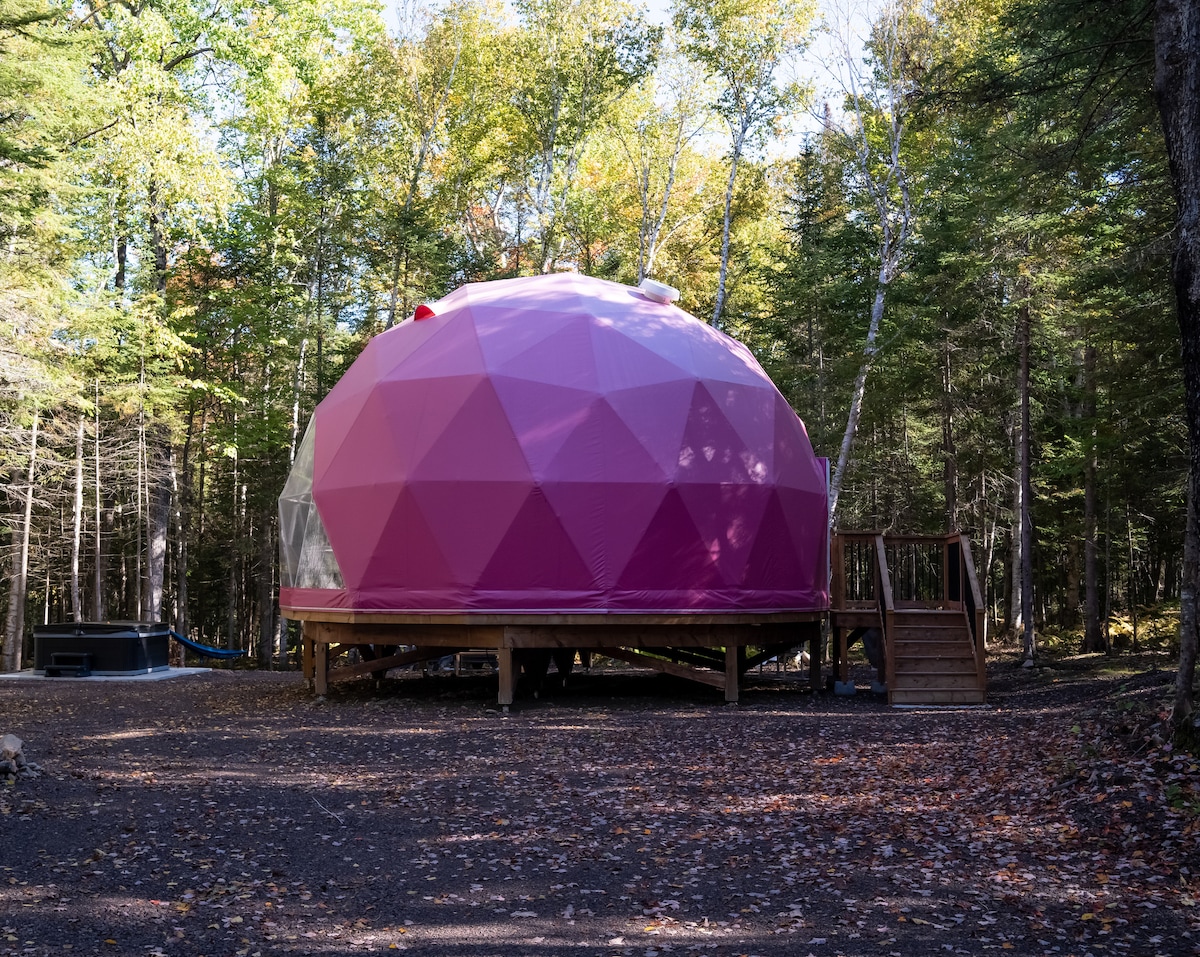 A distinctive pink dome-shaped structure is prominently situated among trees, surrounded by fallen leaves. A wooden deck with steps leads to the entrance, blending the design harmoniously with the natural environment.