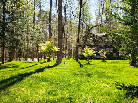 Quiet Cabin Retreat in Chatt Hills