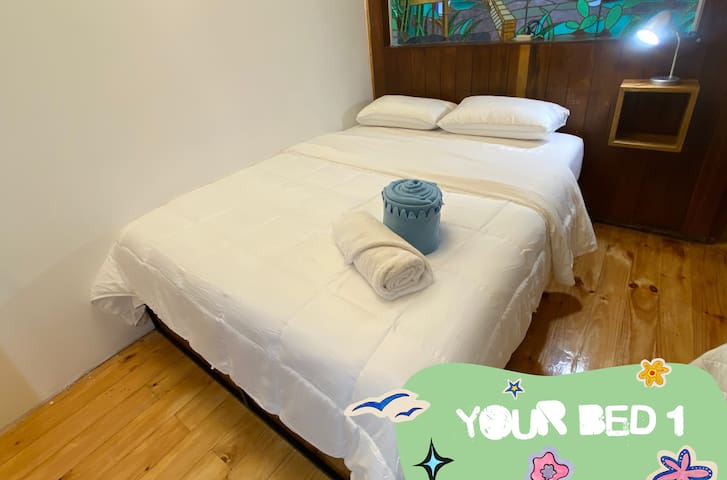 Fungi Living managed Airbnb listing 3