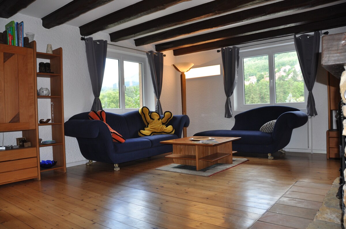 Proprietà Airbnb di successo: 4* Villa under the Linden tree  Alsace Region a Barr