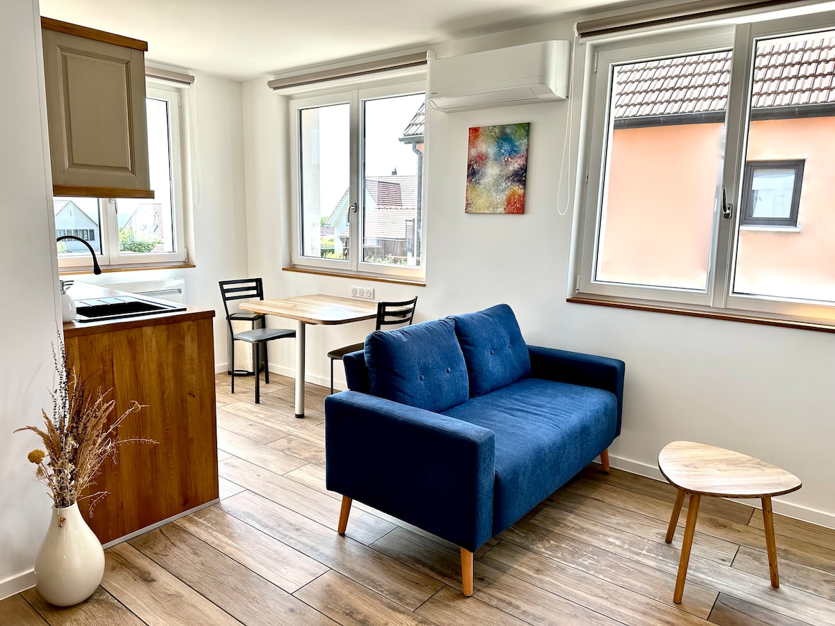 Airbnb con migliori performance: L'Escale, Vineyard View – Air Conditioning – Parking a Riquewihr