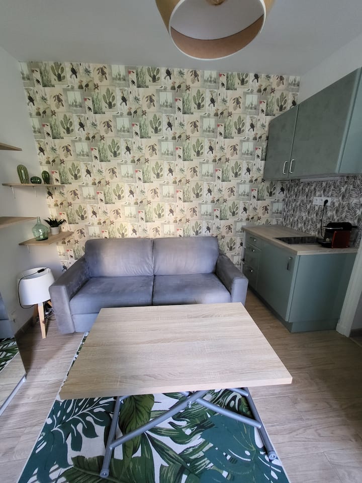Charmant Studio Très Calme En Centre-ville - Saint-Germain-en-Laye