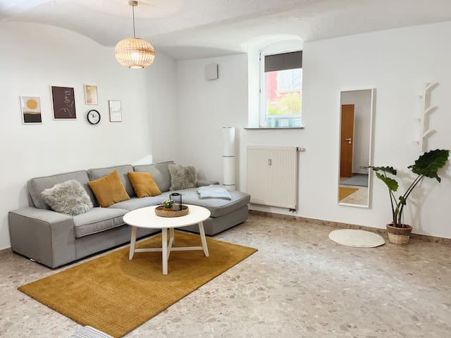 Bohn Apartment managed Airbnb listing 3