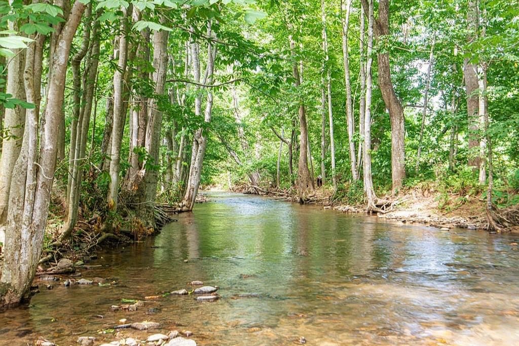 A serene creek flows gently through a lush green landscape, bordered by tall trees offering dappled sunlight. The clear water reflects the surrounding foliage, creating a peaceful natural setting perfect for relaxation and exploration.