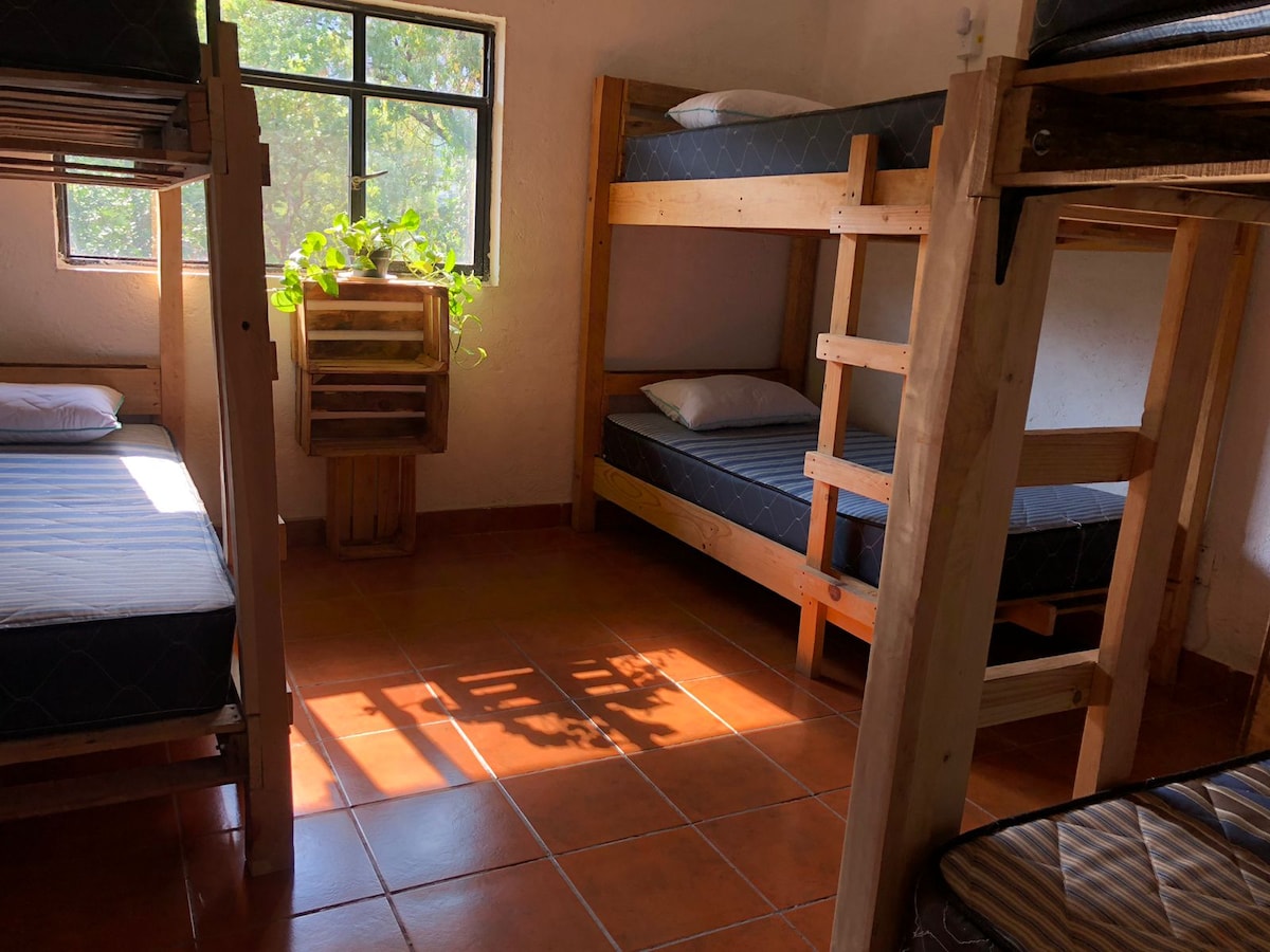 A shared sleeping area is presented, featuring two sets of wooden bunk beds. Each bunk is equipped with a mattress and pillow. Natural light filters through a window, creating patterns on the tiled floor and illuminating a small wooden shelf with plants.