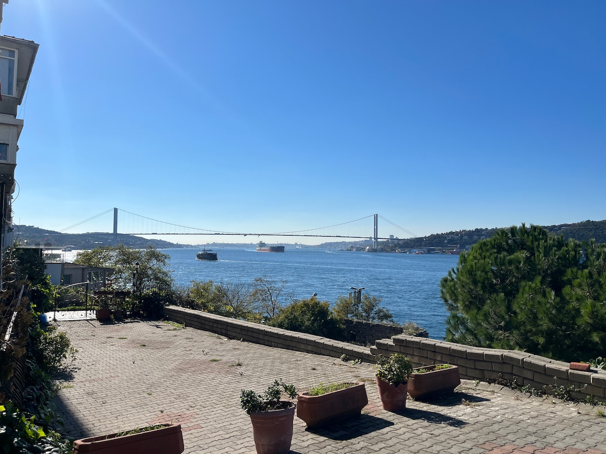 A tranquil outdoor area features a paved surface with several potted plants. In the background, a sweeping view of the water and a bridge spans the horizon under a clear blue sky, enhancing the serene ambiance.