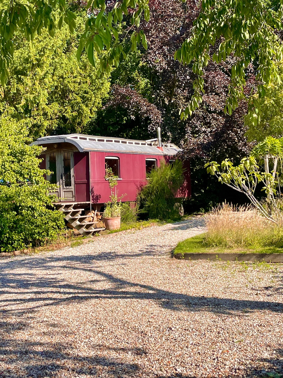The rustic 1930s Showmans wagon is nestled among lush greenery, featuring a deep red exterior. A gravel path leads to its entrance, framed by vibrant trees and plants, creating a serene and private setting in the countryside.