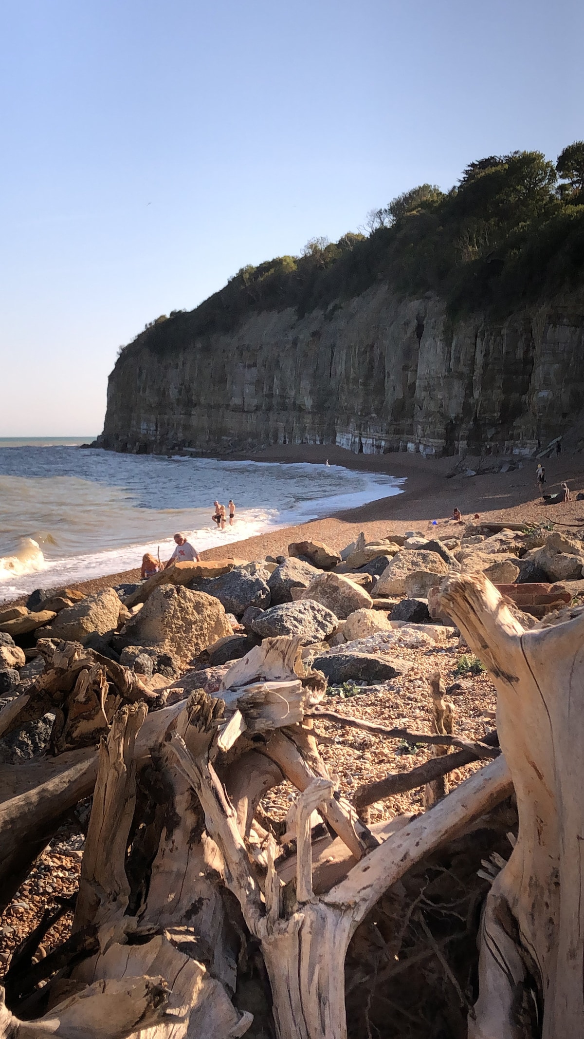 The image captures a serene beach scene with a gently rolling sea lapping against the shore. Jagged cliffs rise in the background, framed by greenery. Weathered driftwood and smooth stones are scattered in the foreground, adding texture to the landscape.